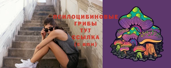 apvp Инта
