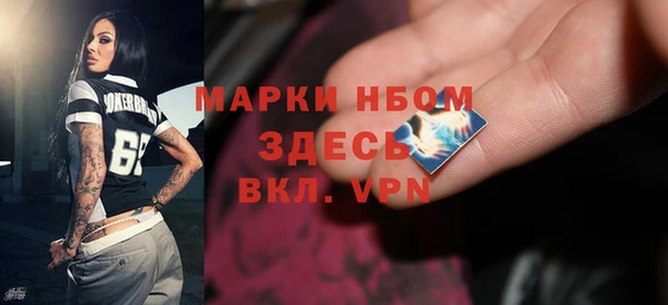 apvp Инта