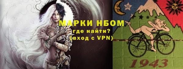 apvp Инта
