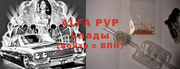 apvp Инта