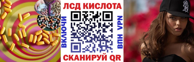 Купить закладки  Гдов  ЛСД экстази кислота 